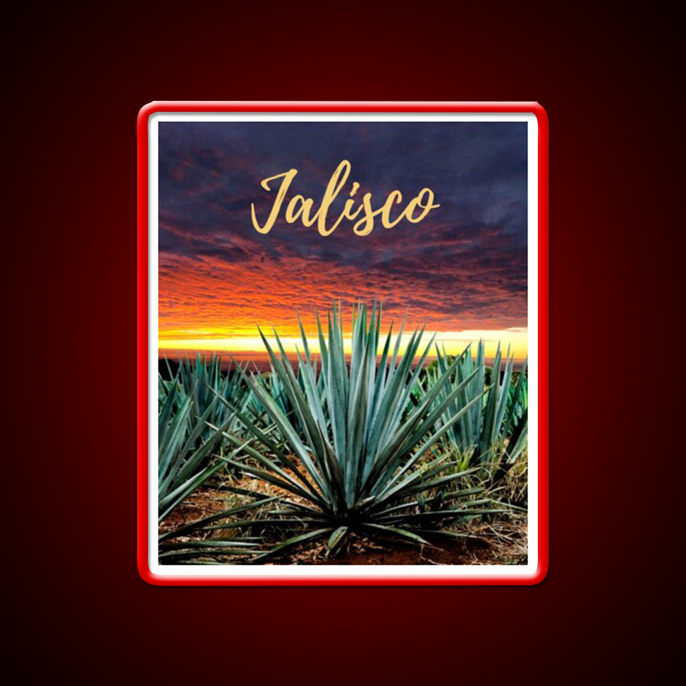 Landscape Mexico Tequila Beer Bar Decor Led Neon Sign Rgb Color - LED neon sign view 10