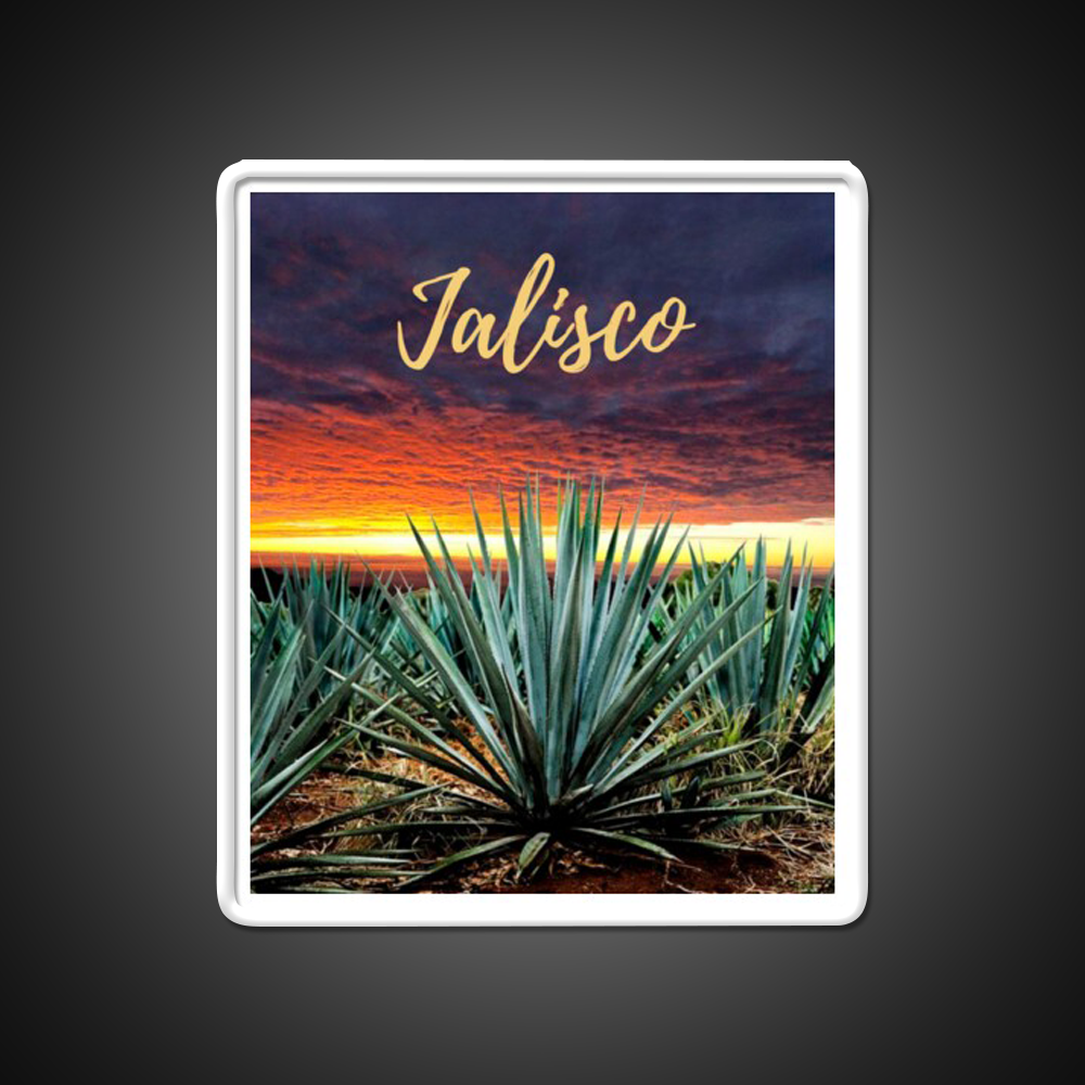 Landscape Mexico Tequila Beer Bar Decor Led Neon Sign Rgb Color - LED neon sign view 11