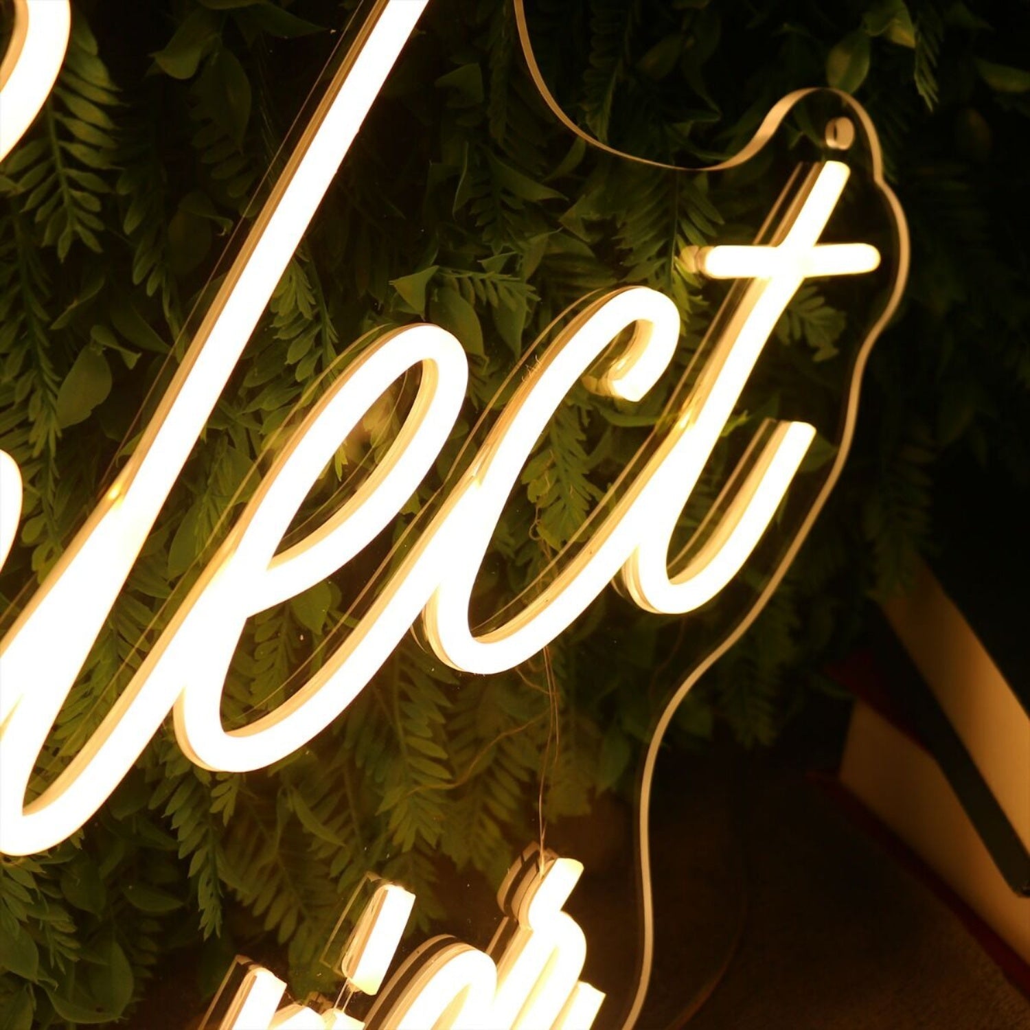 Le Pelect Pentien Led Neon Sign - Shineneon