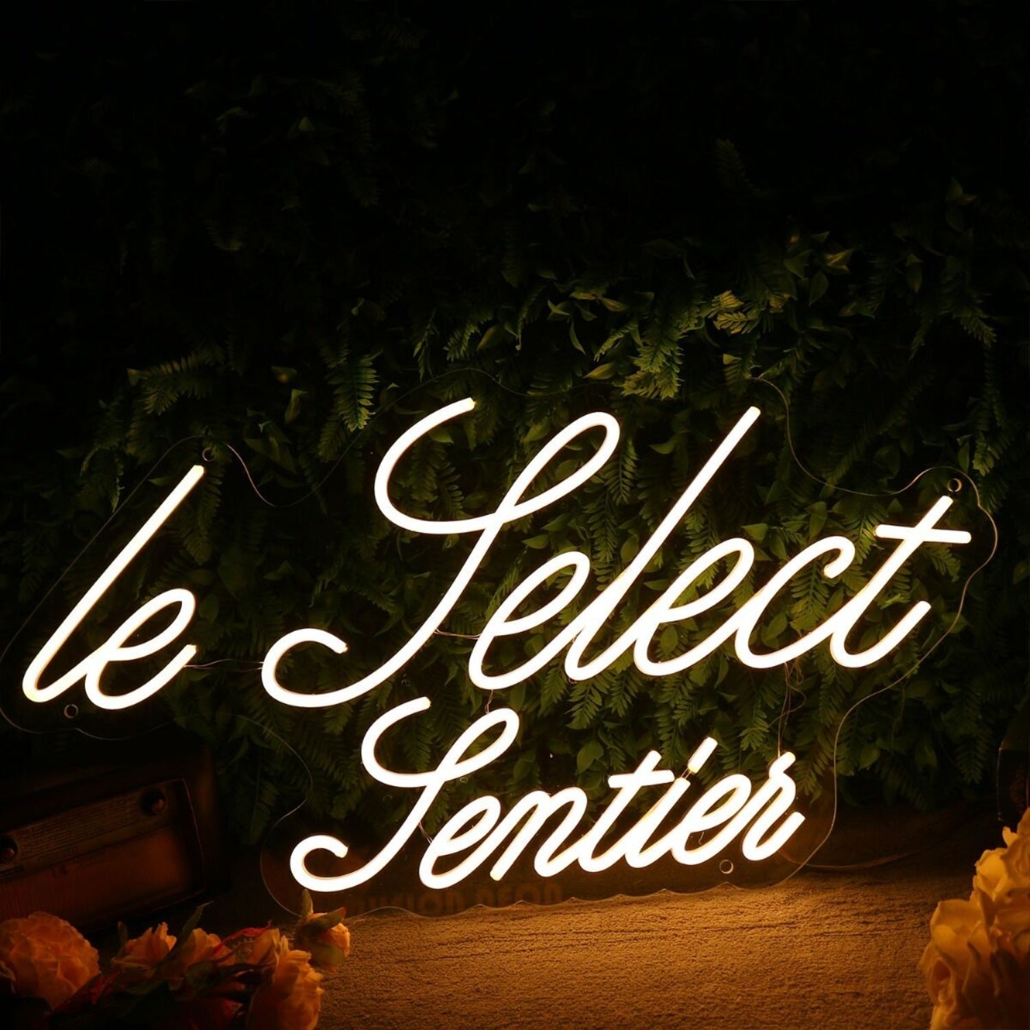 Le Pelect Pentien Led Neon Sign - Shineneon