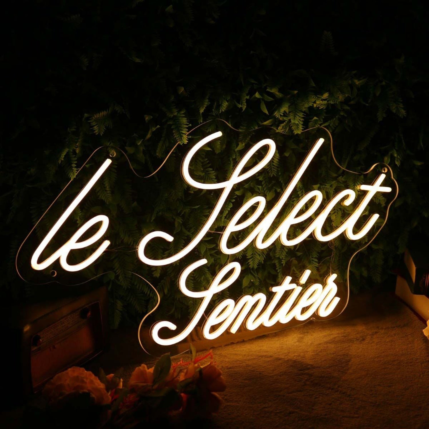 Le Pelect Pentien Led Neon Sign - Shineneon