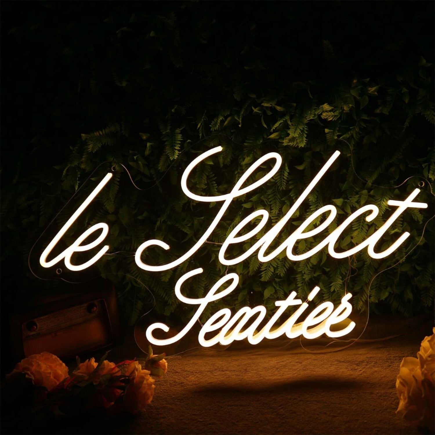Le Pelect Pentien Led Neon Sign - Shineneon