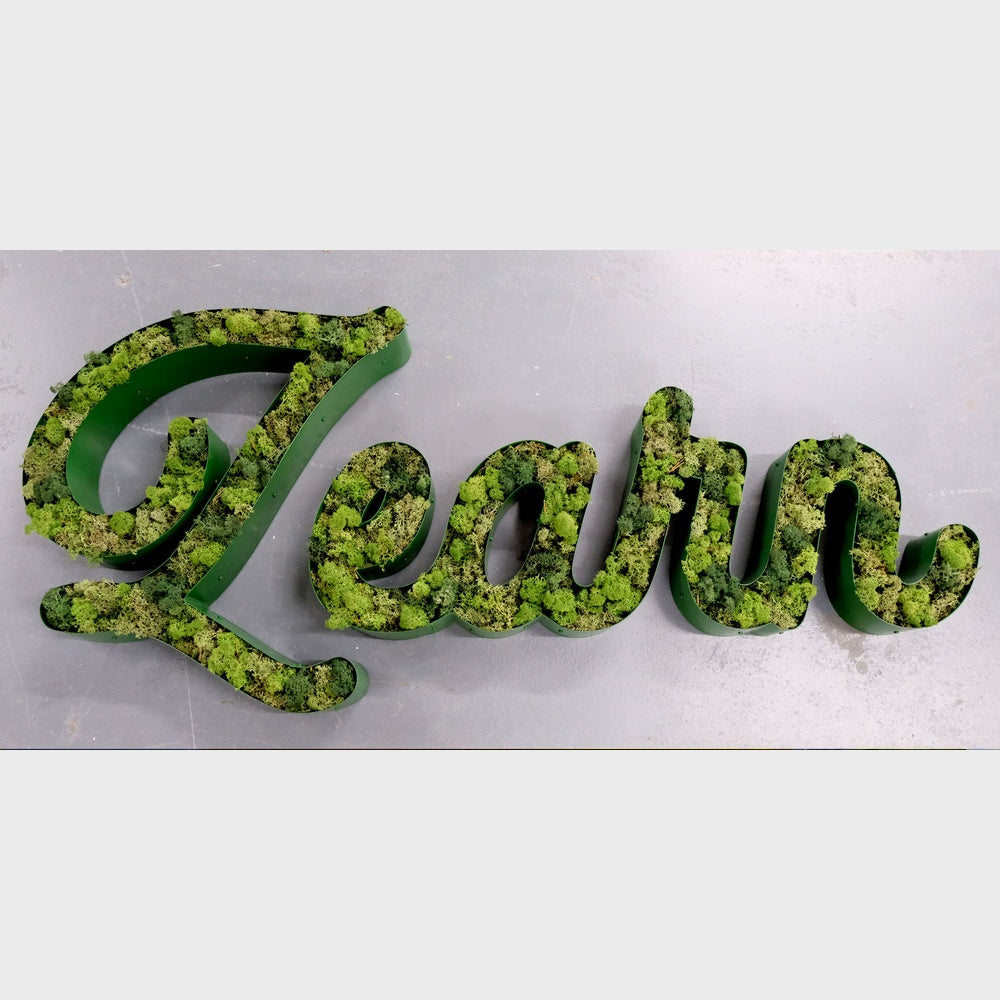 Learn 3D Moss Letter Sign