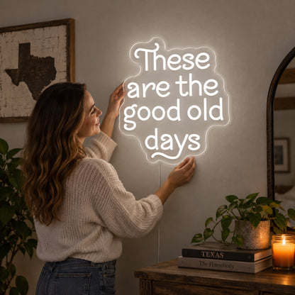 These Are The Good Old Days Block Letters Vintage LED Neon Sign Garage Neon Sign image 02