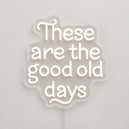 These Are The Good Old Days Block Letters Vintage LED Neon Sign Garage Neon Sign image 06