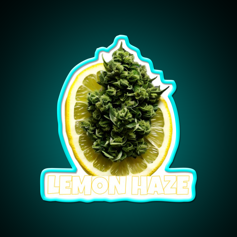 Lemon Haze Weed Hemp Inspired Green Leaf Led Neon Sign Rgb Color - Size and dimension reference