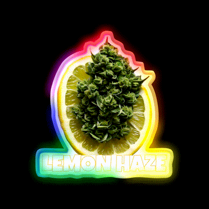 Lemon Haze Weed Hemp Inspired Green Leaf Led Neon Sign Rgb Color - LED neon sign close-up detail