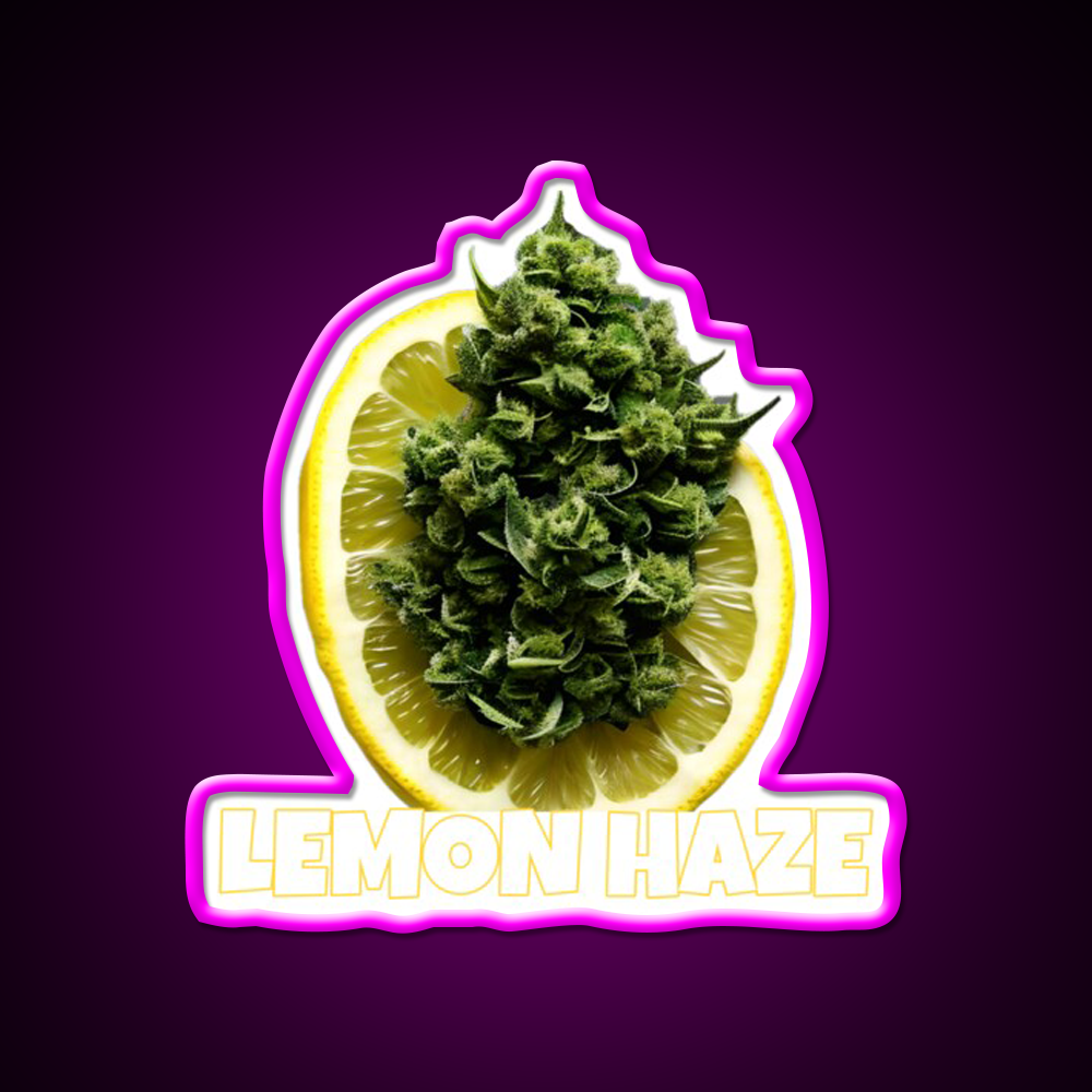 Lemon Haze Weed Hemp Inspired Green Leaf Led Neon Sign Rgb Color - Neon sign mounted on wall in room