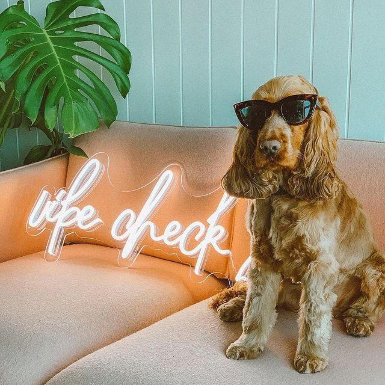 Life Check White Glow Led Neon Sign For Cozy Home Decor | Shineneon