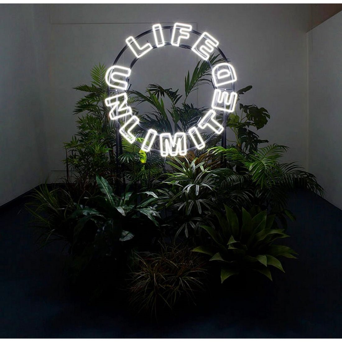 Life Unlimited Led Sign Business Neon Sign - Shineneon