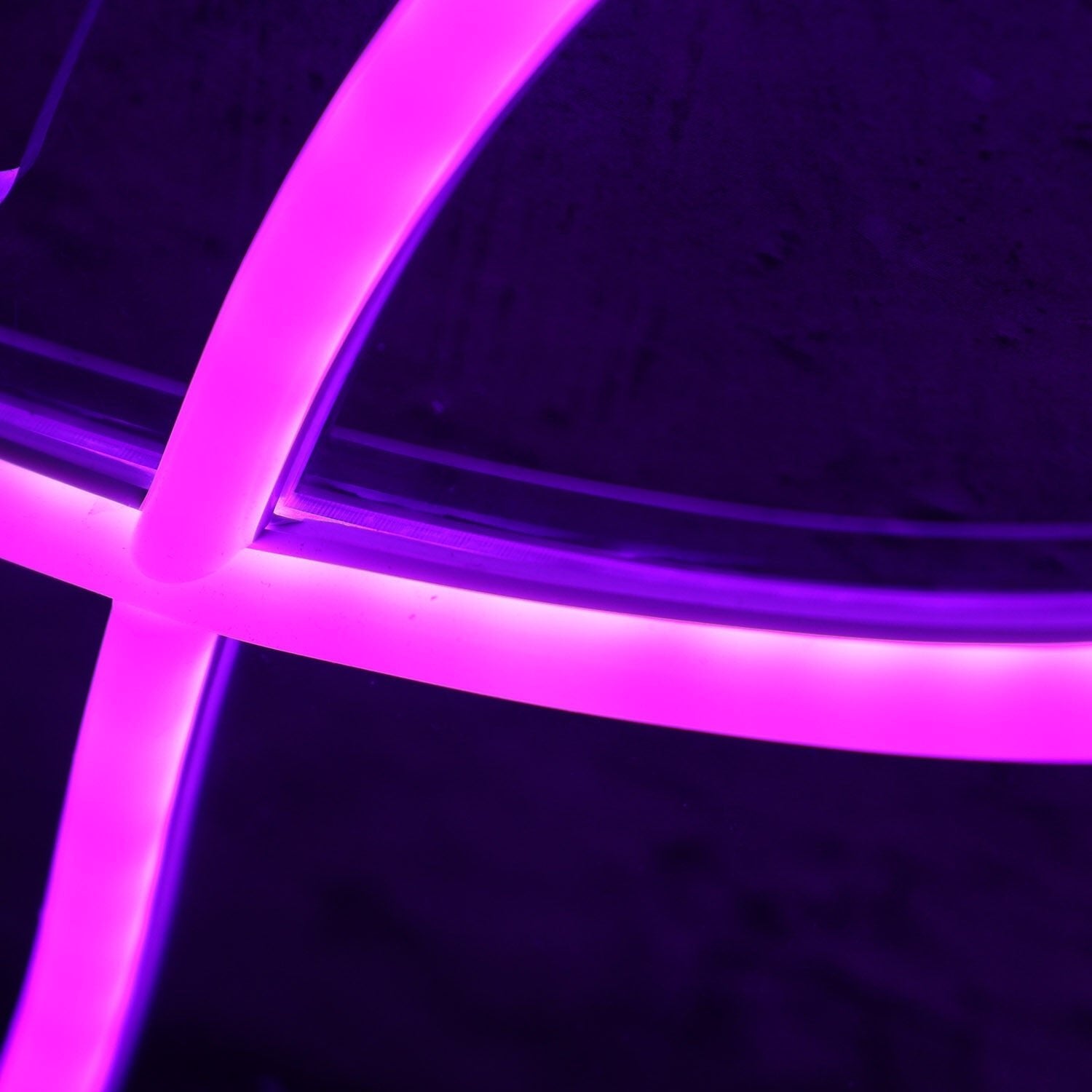 Lindy Dark Purple Led Neon Sign - Shineneon