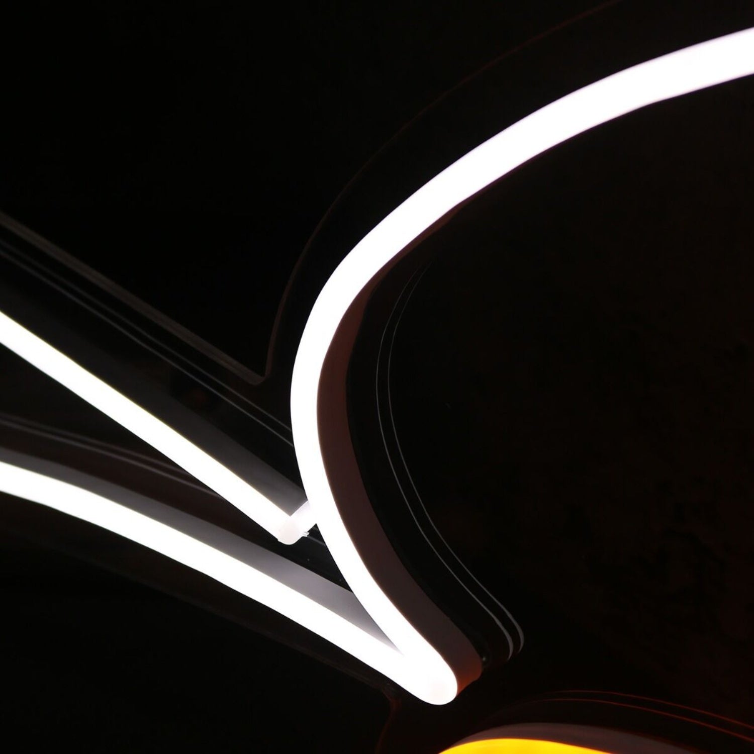 Litte Cute Bird Custom Led Neon Sign - Shineneon