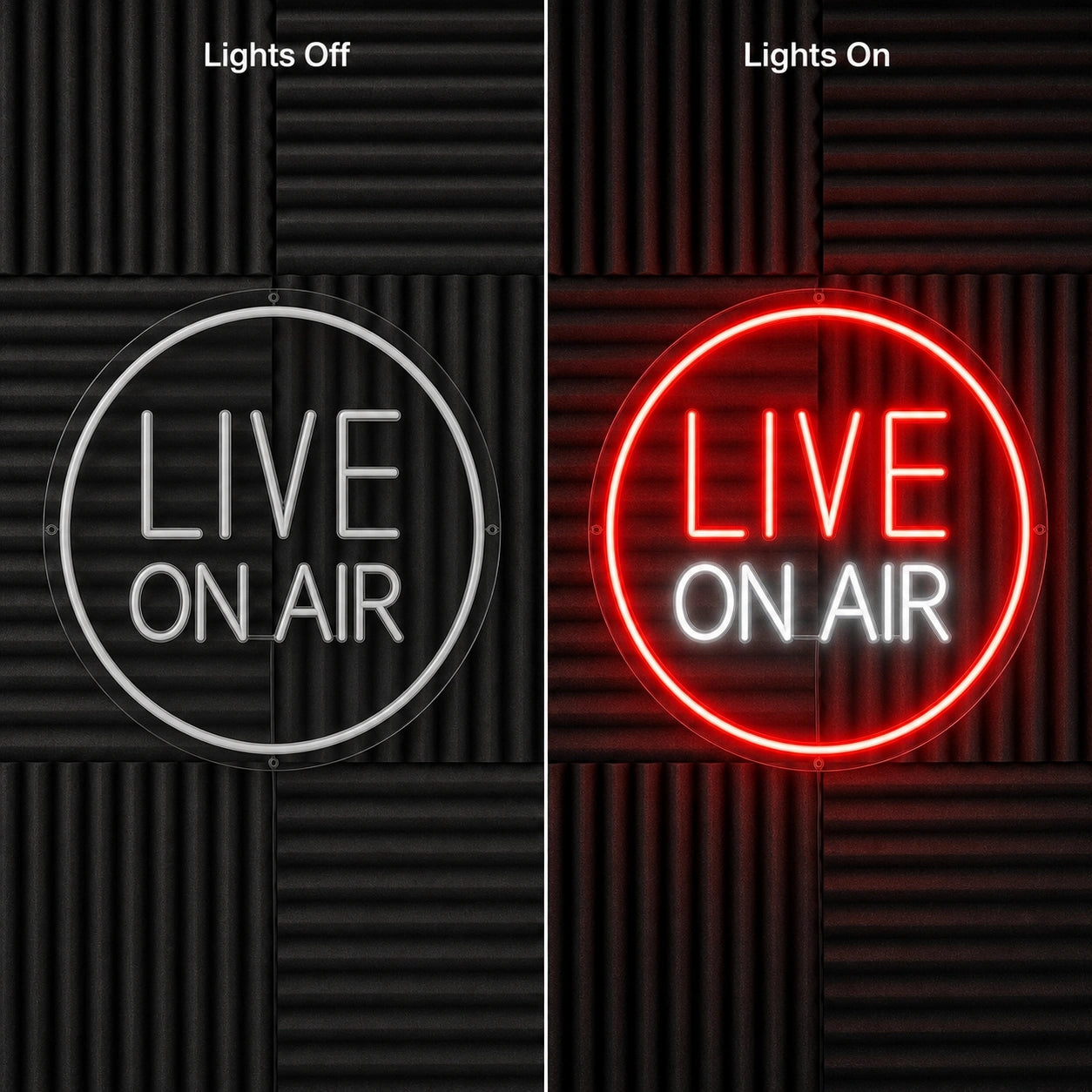 Live LED Neon Sign Home Garage Wall Decoration day and night comparison