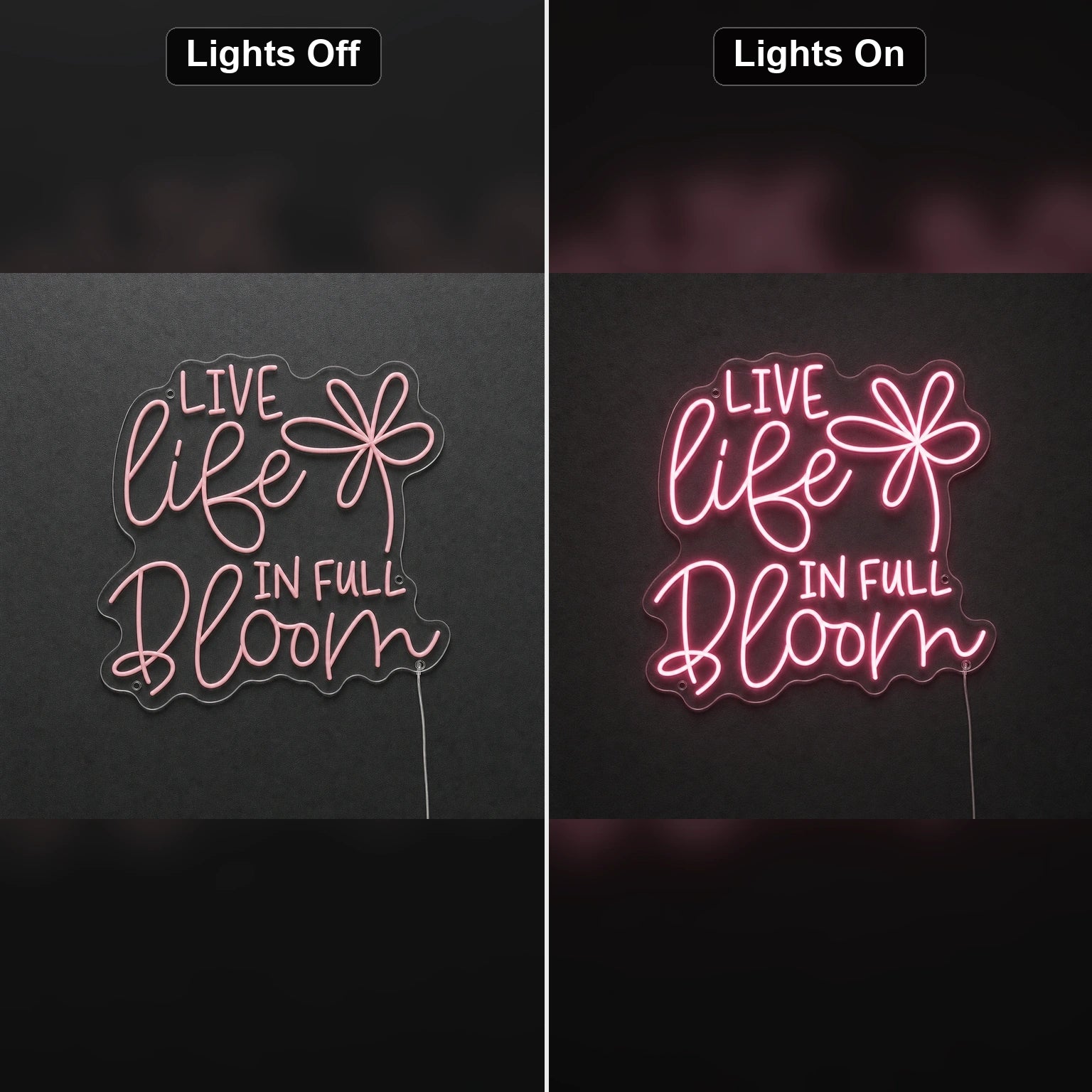 Live Life LED Neon Sign day and night comparison