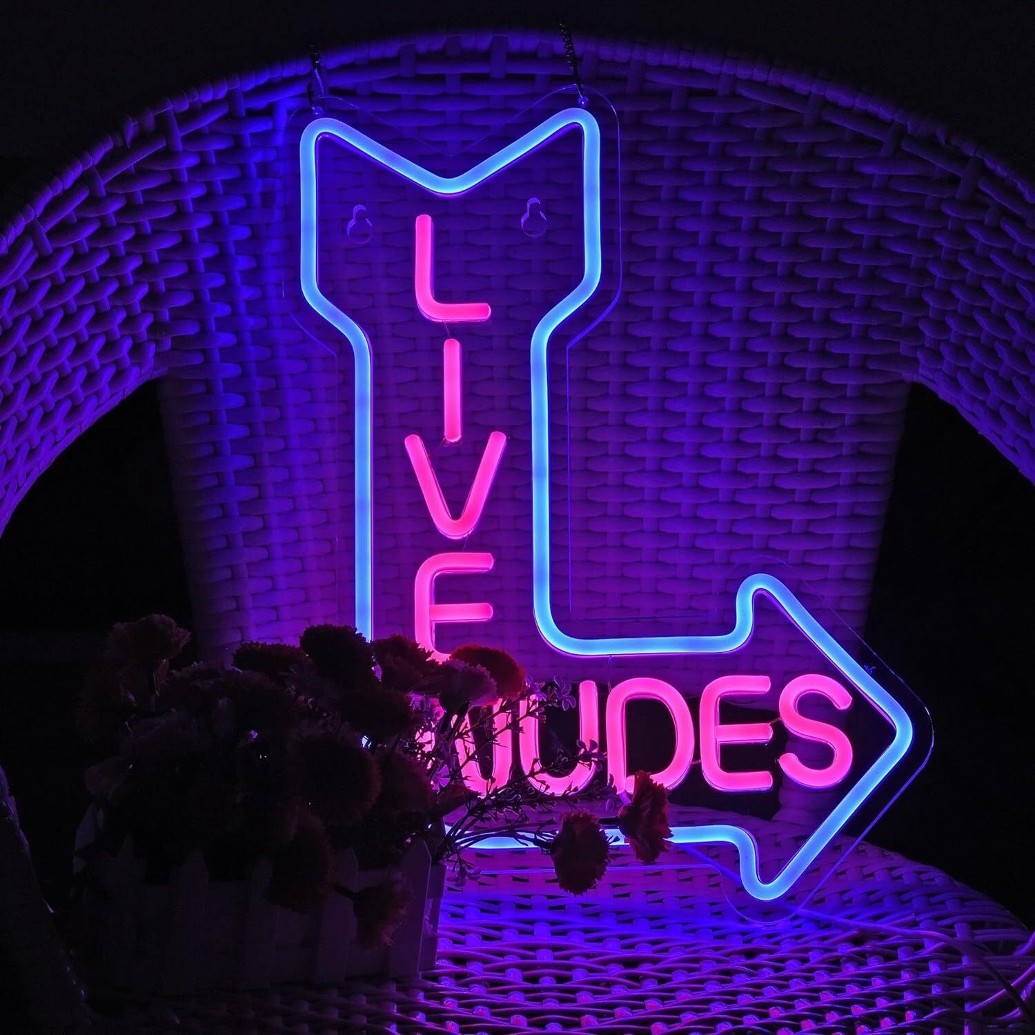 Live Nudes Room Led Neon Sign Bar Fun | Shineneon