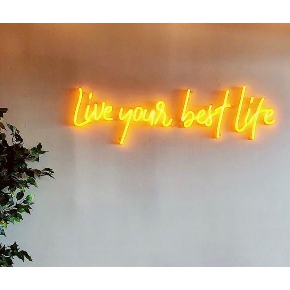 Live Your Best Life Led Sign Business Neon Sign - Shineneon