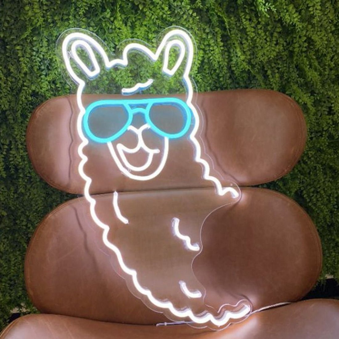 Llama Led Sign Business Neon Sign - Shineneon
