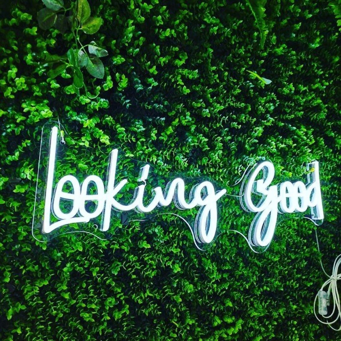 Looking Good Led Sign Business Neon Sign - Shineneon