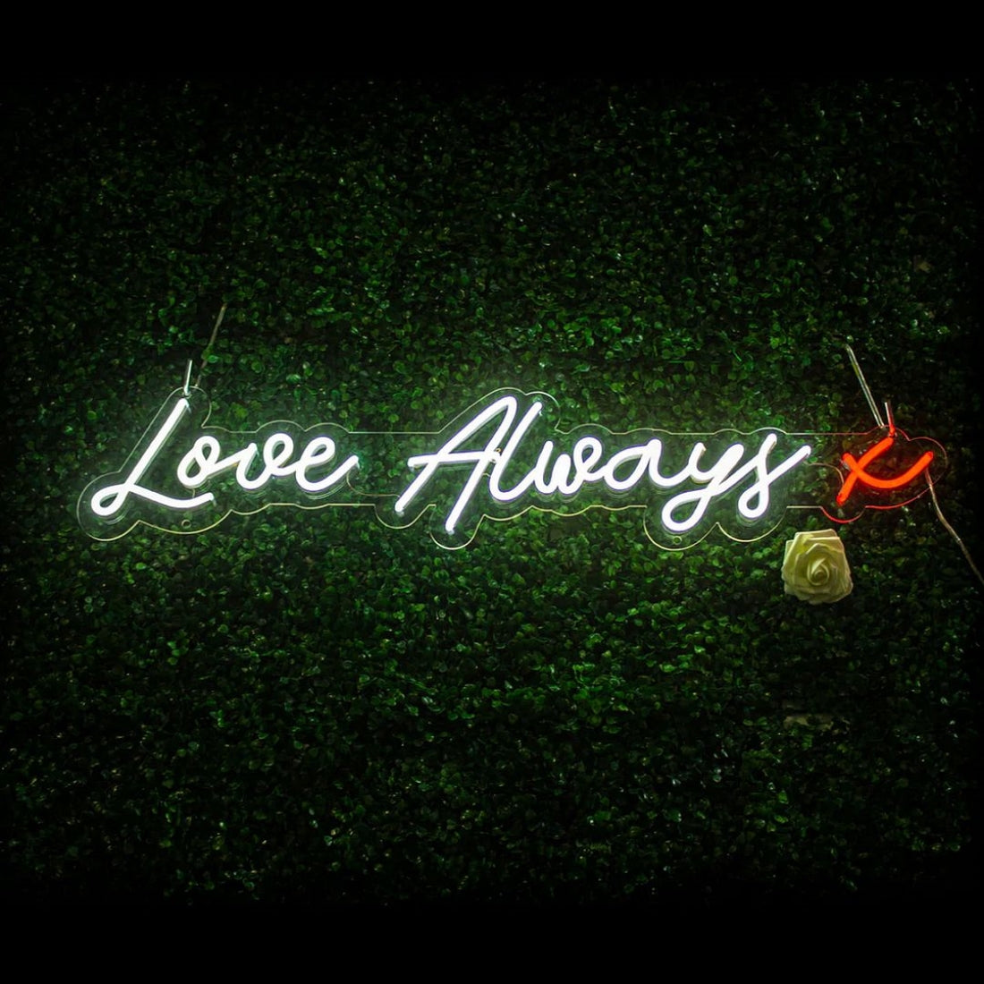 Love Always Led Sign Business Neon Sign