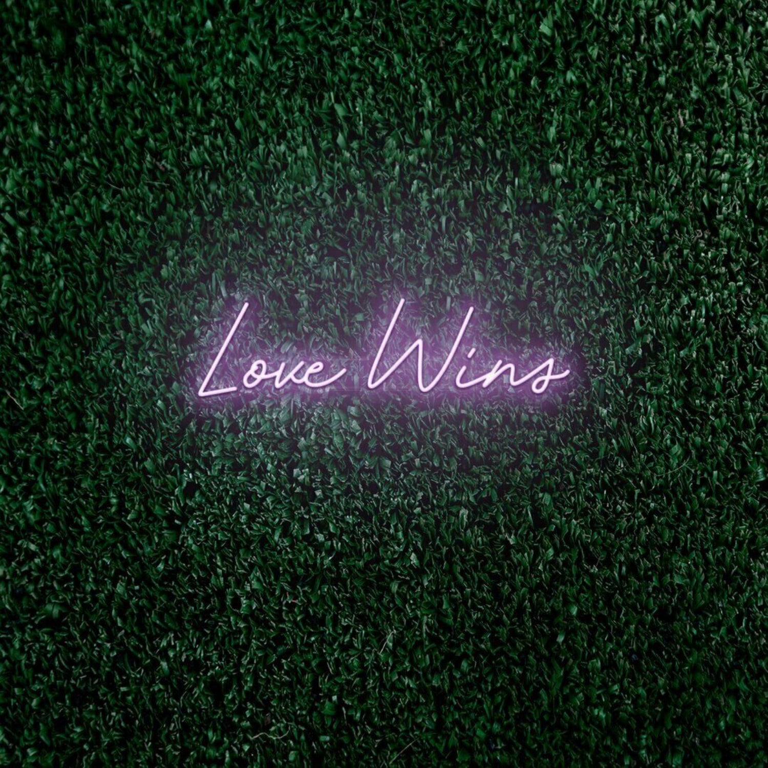 Love Wins Led Neon Sign | Shineneon