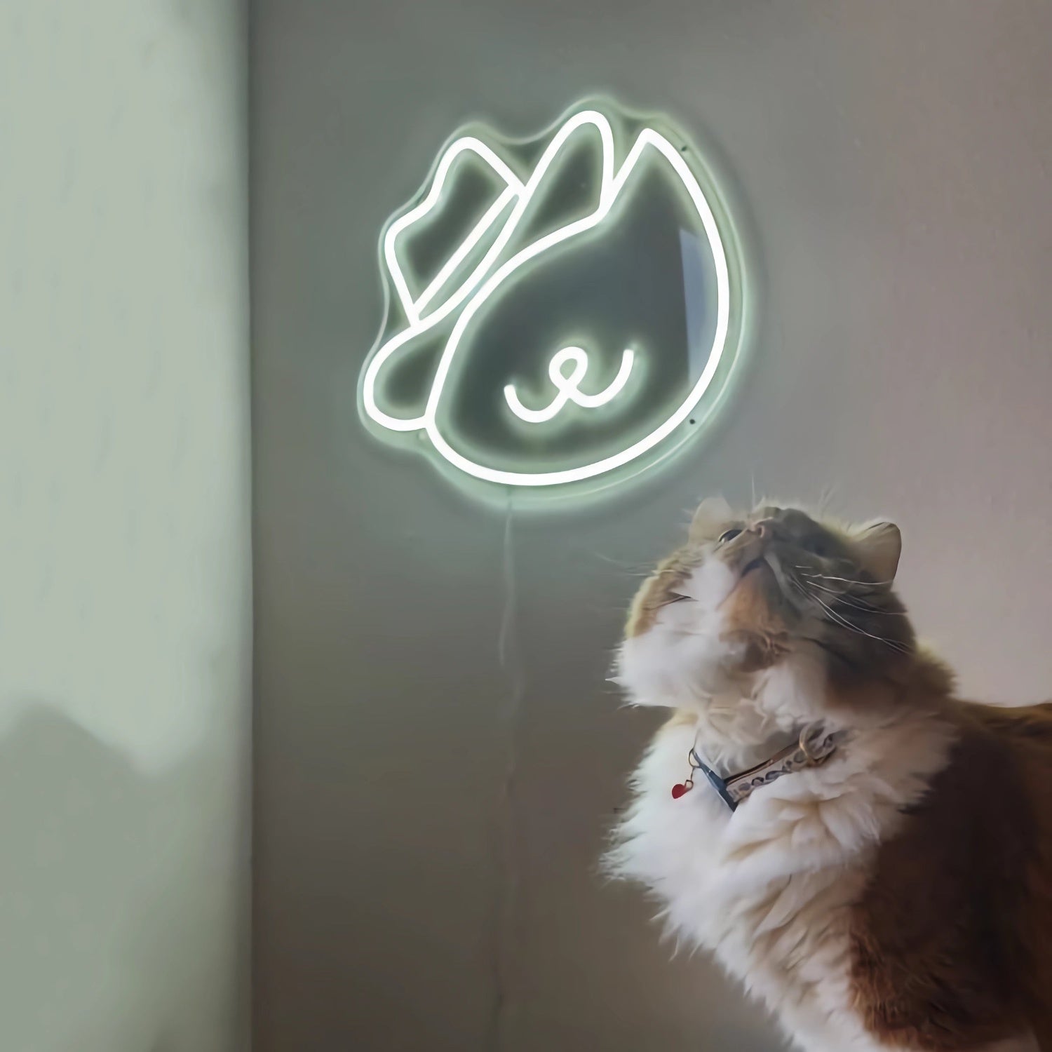 Lovely Cat In A Hat Led Neon Sign For Pets House | Shineneon