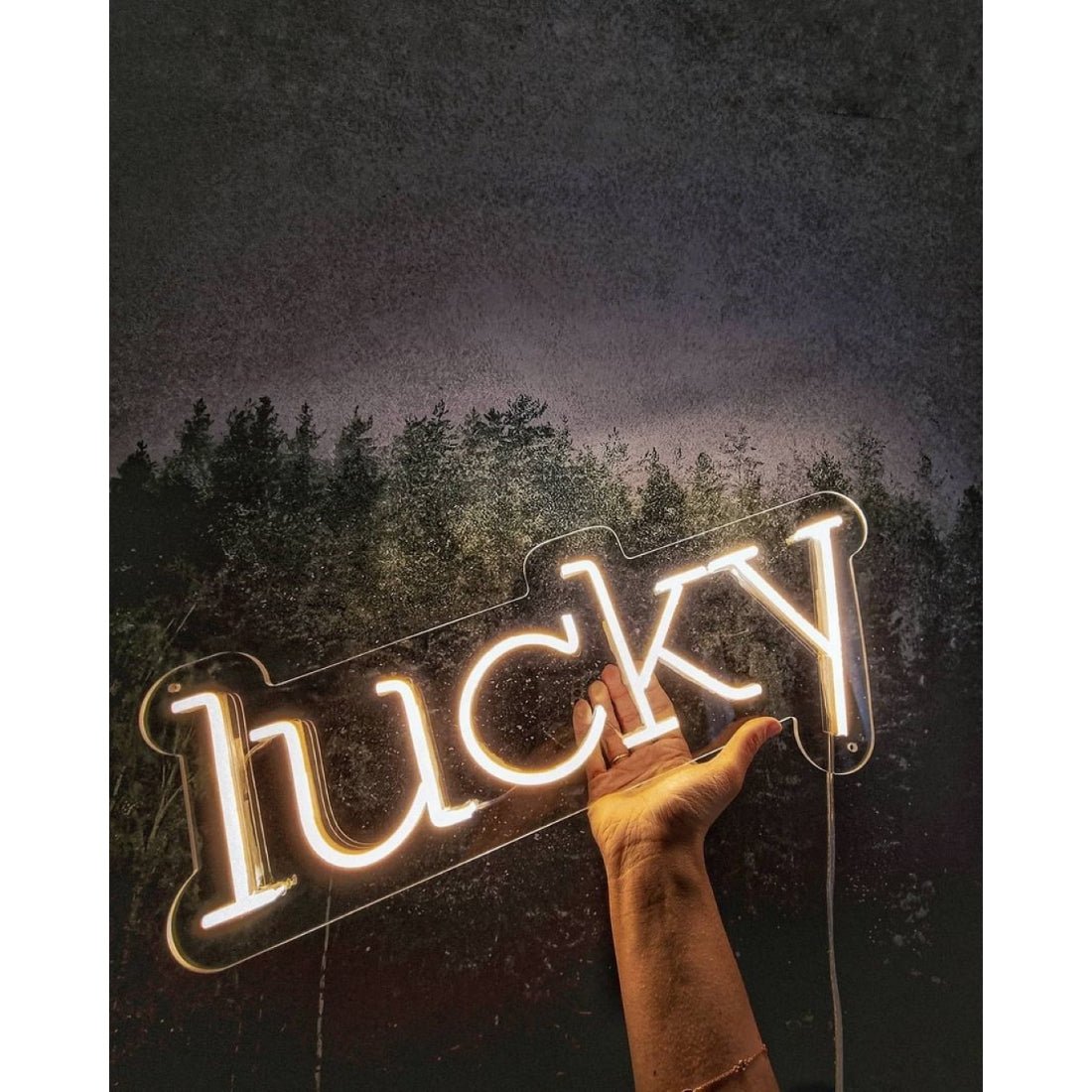 Lucky Led Sign Business Neon Sign - Shineneon