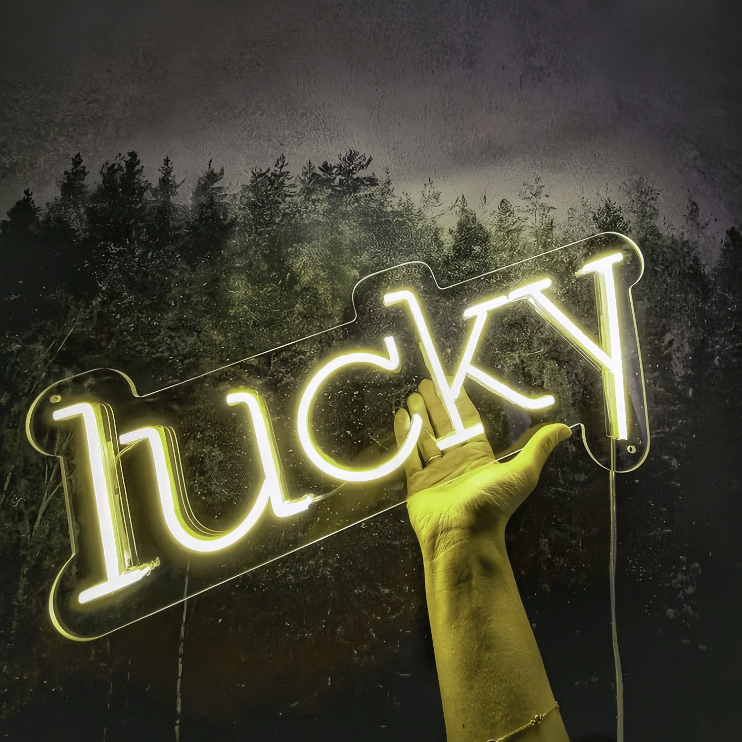 Lucky Neon Sign Fortunate Charms Illuminated | Shineneon