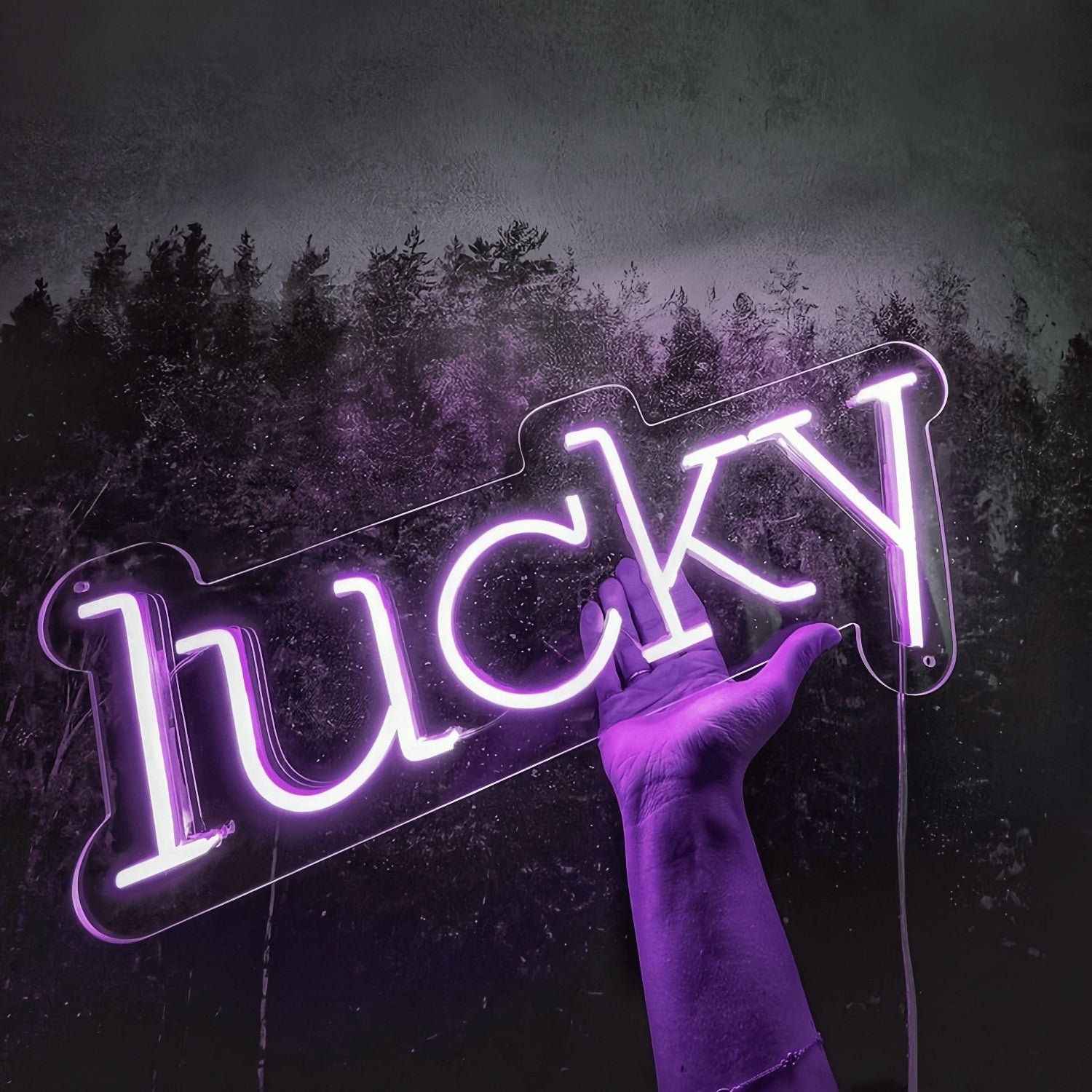 Lucky Neon Sign Fortunate Charms Illuminated | Shineneon