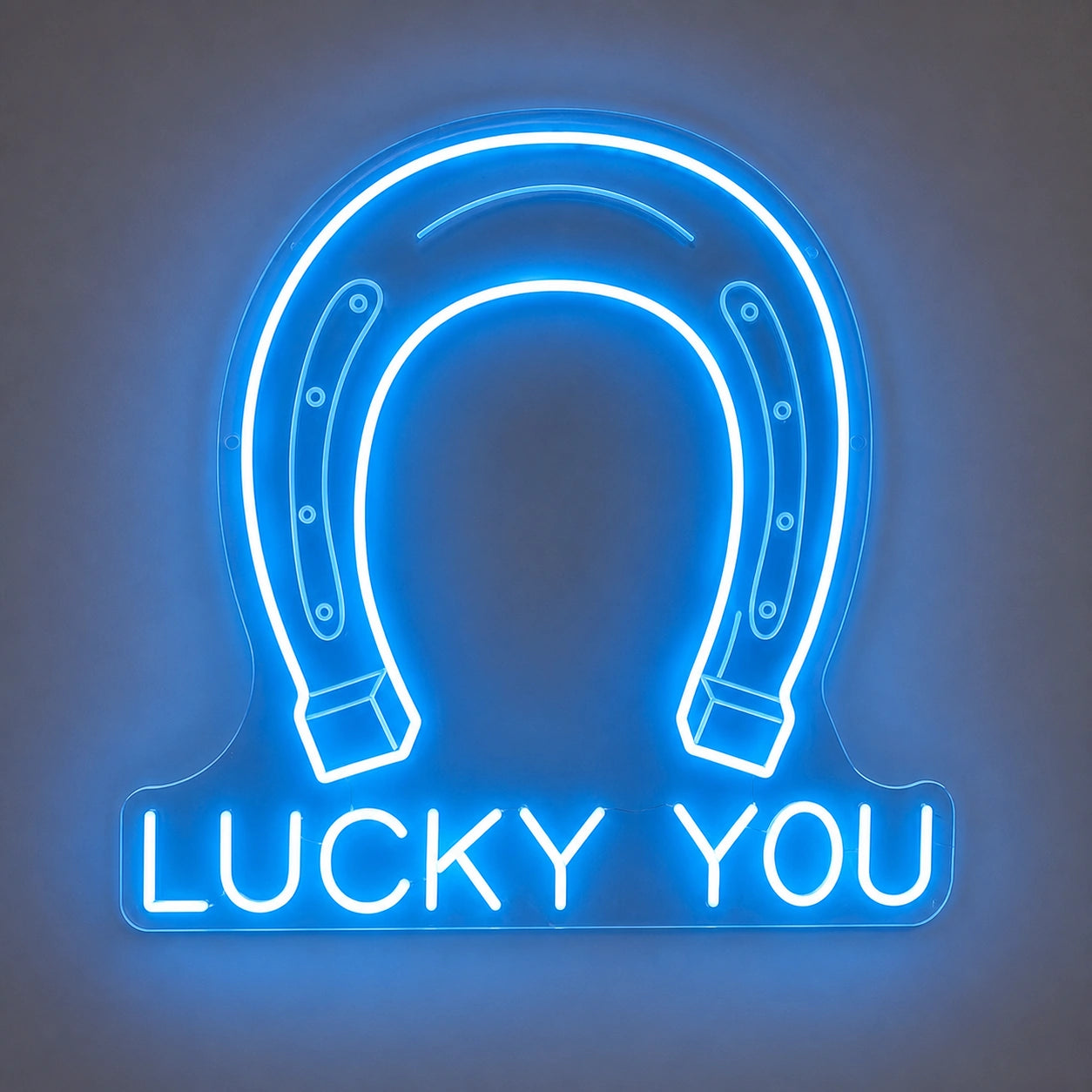 Lucky You Horseshoe Vintage LED Neon Sign main product image