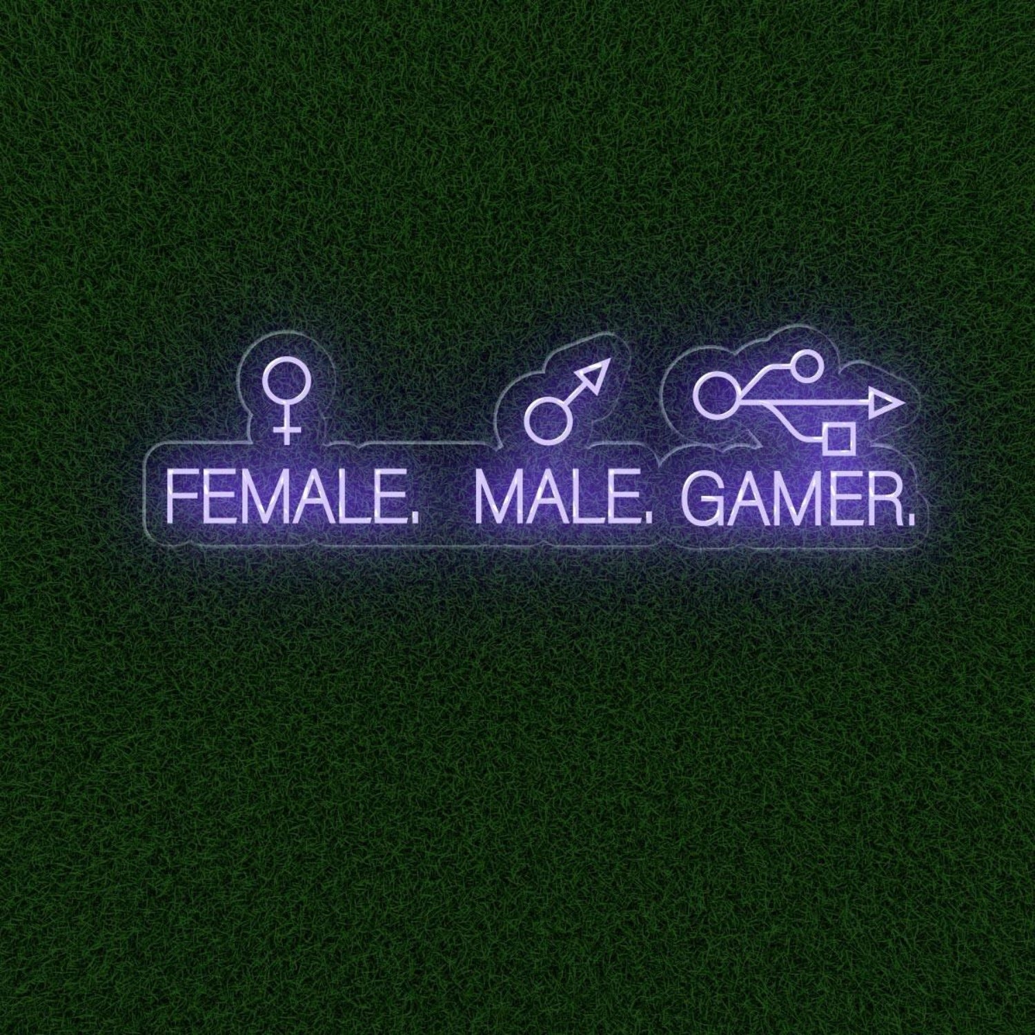 Male Female Gamer Led Neon Sign Blue-White Gaming Room Decor | Shineneon