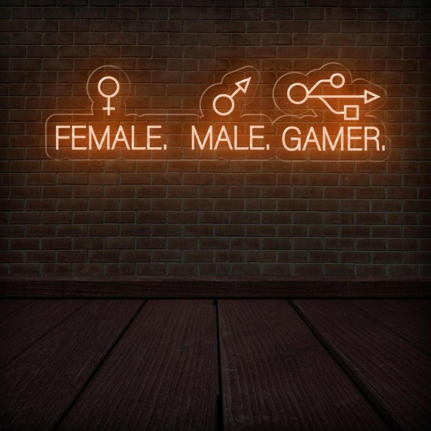 Male Female Gamer Led Neon Sign Blue-White Gaming Room Decor | Shineneon