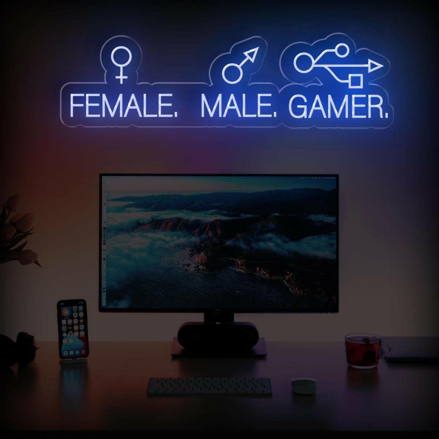 Male Female Gamer Led Neon Sign Blue-White Gaming Room Decor | Shineneon