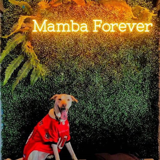 Mamba Forever Led Sign Business Neon Sign