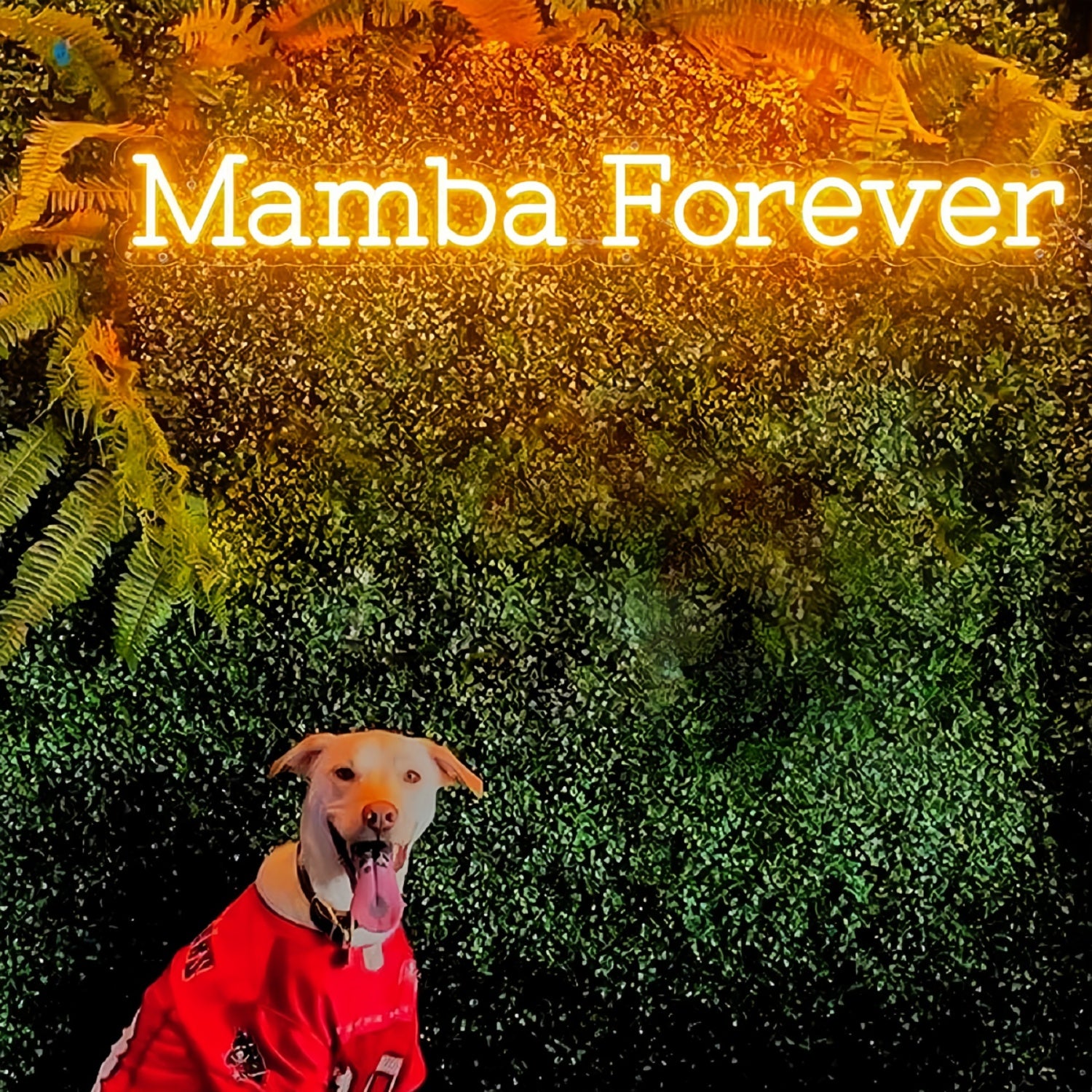 Mamba Forever Neon Sign | Shineneon