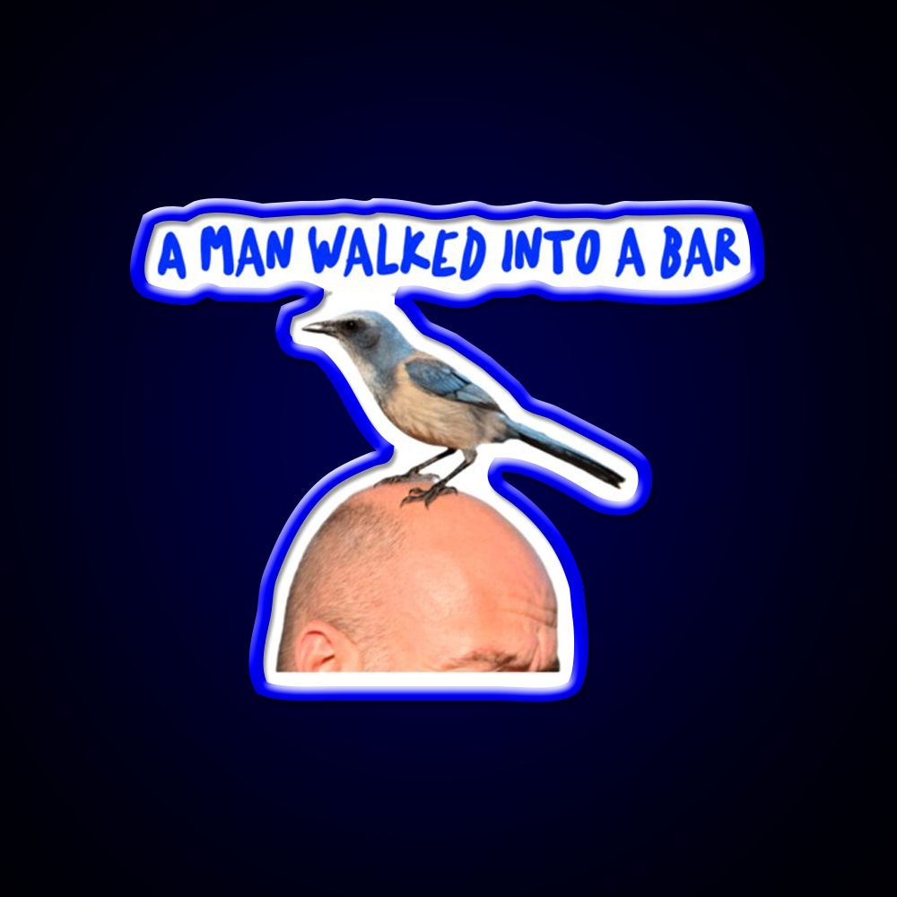 Man In Bar With Bird On Head Man Cave Bar Led Neon Sign Rgb Color