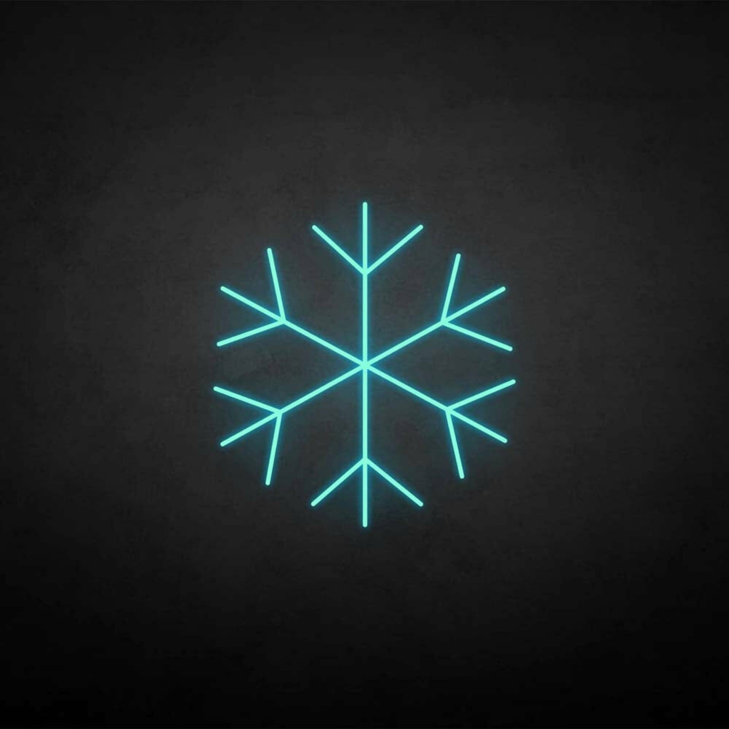 Marry Christmas Snowflake Neon Sign | Shineneon