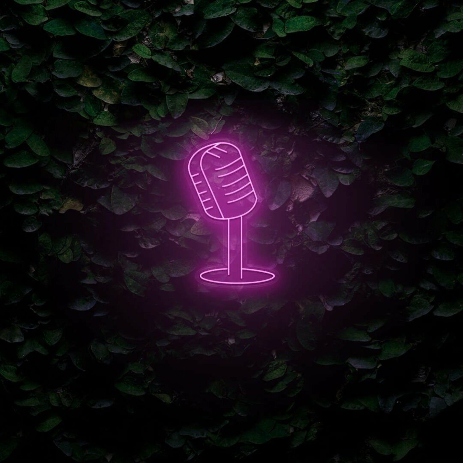 Microphone Led Neon Sign | Shineneon
