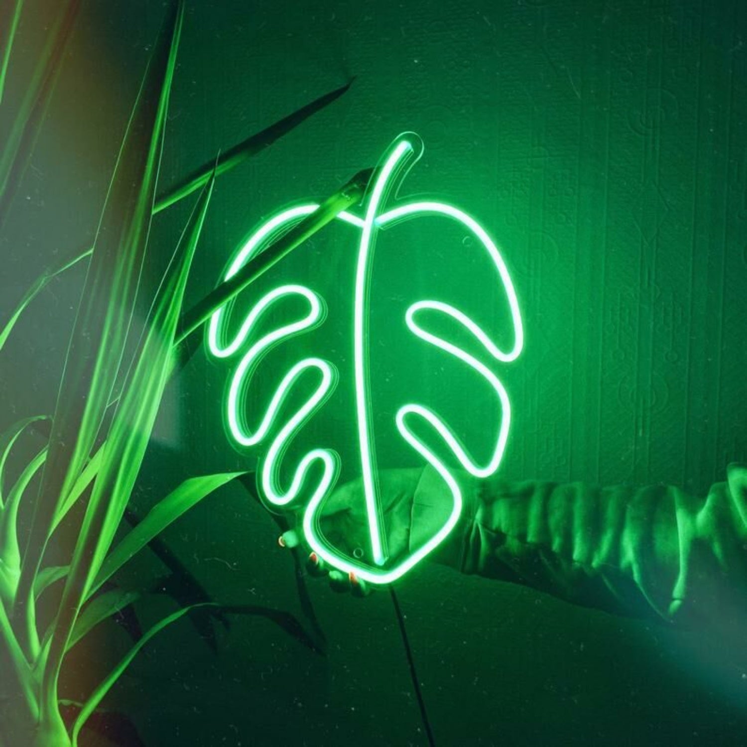 Monstera Leaf Led Neon Sign | Shineneon