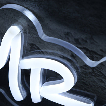 Mr And Mrs Litwin White Led Neon Sign - Shineneon