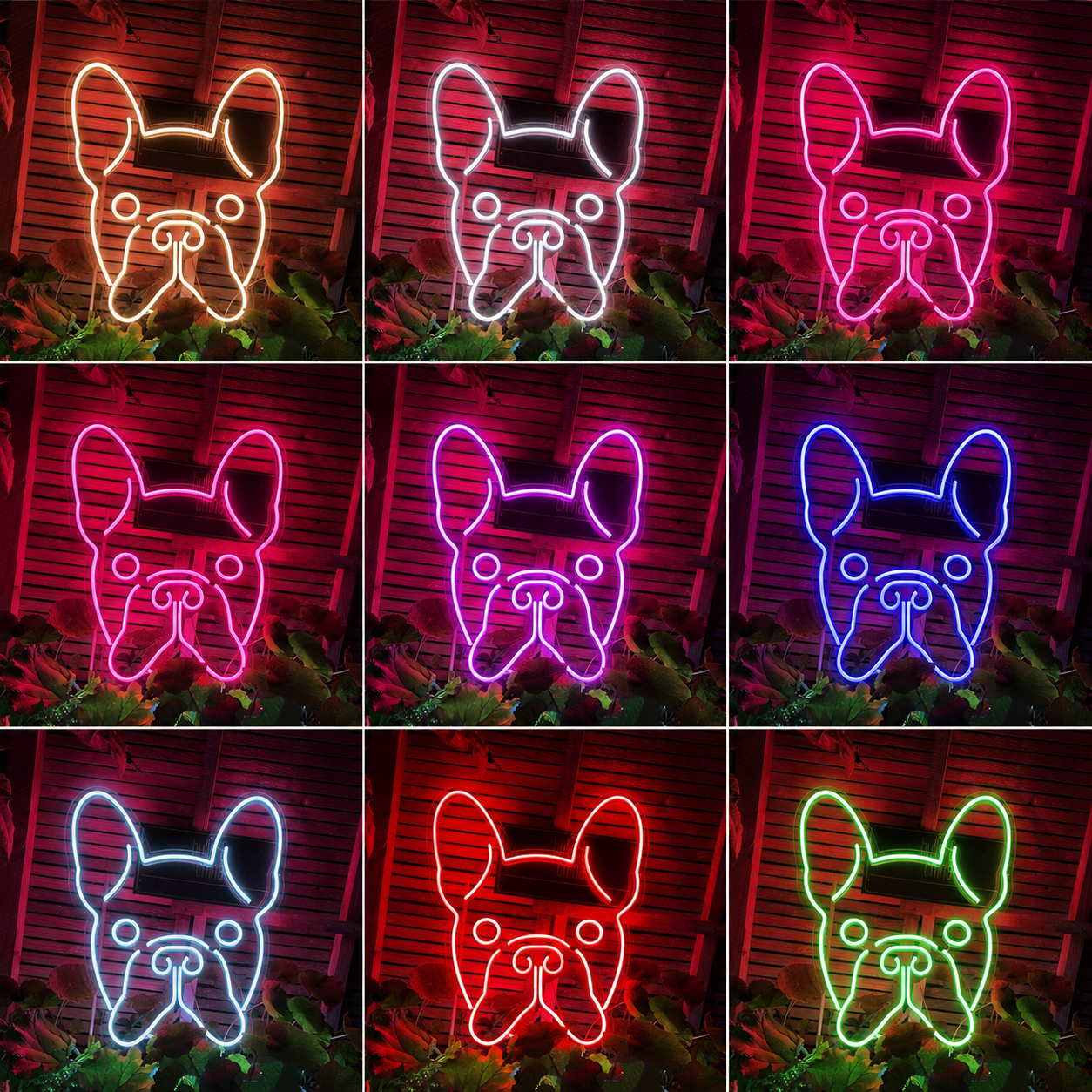 Neon Personalizado Cachorro LED Neon Sign - 05 Color Grid