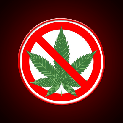 No Hemp Inspired Green Leaf Led Neon Sign Rgb Color - Shineneon