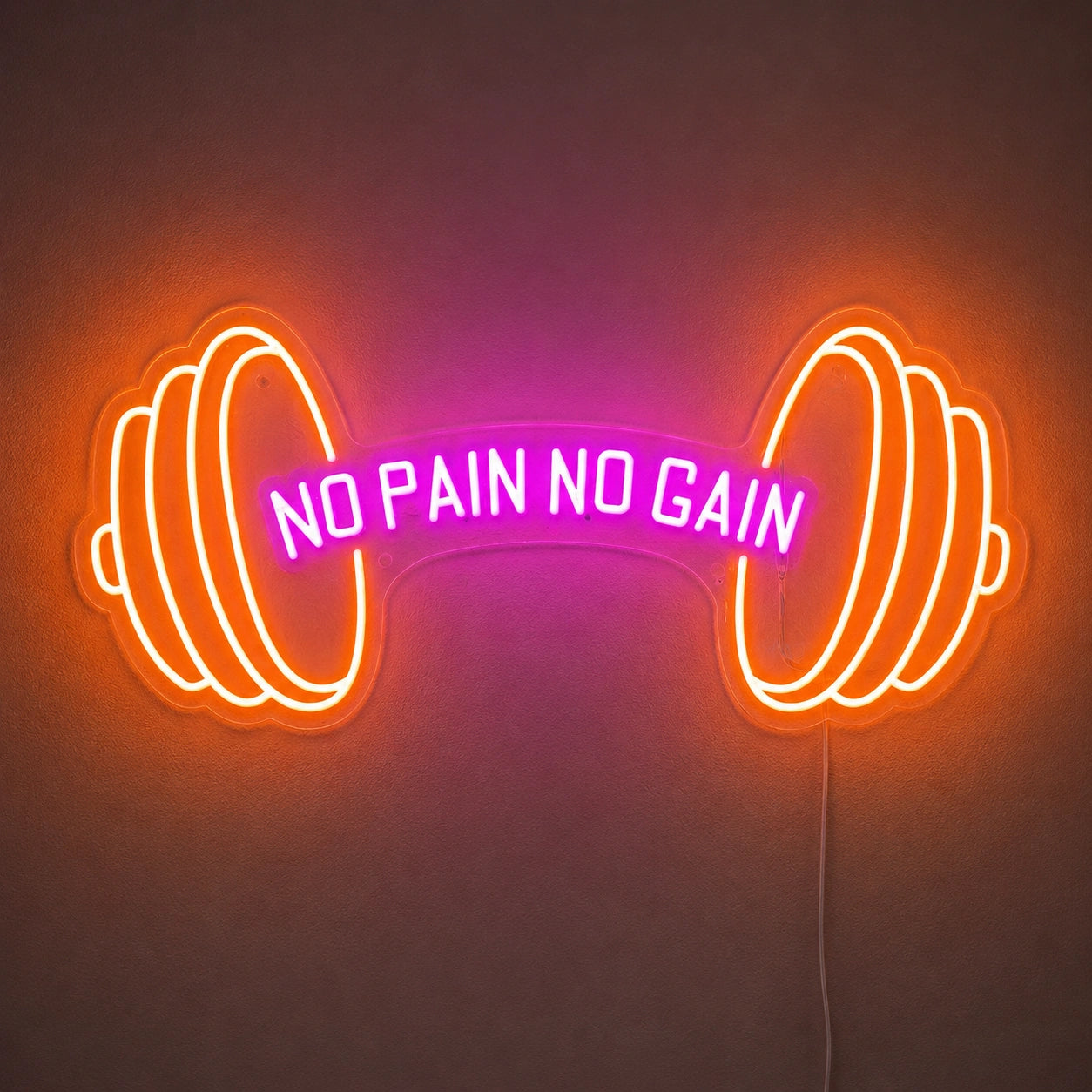 No Pain No Gain Dumbbell Neon Sign LED Neon Sign main product image