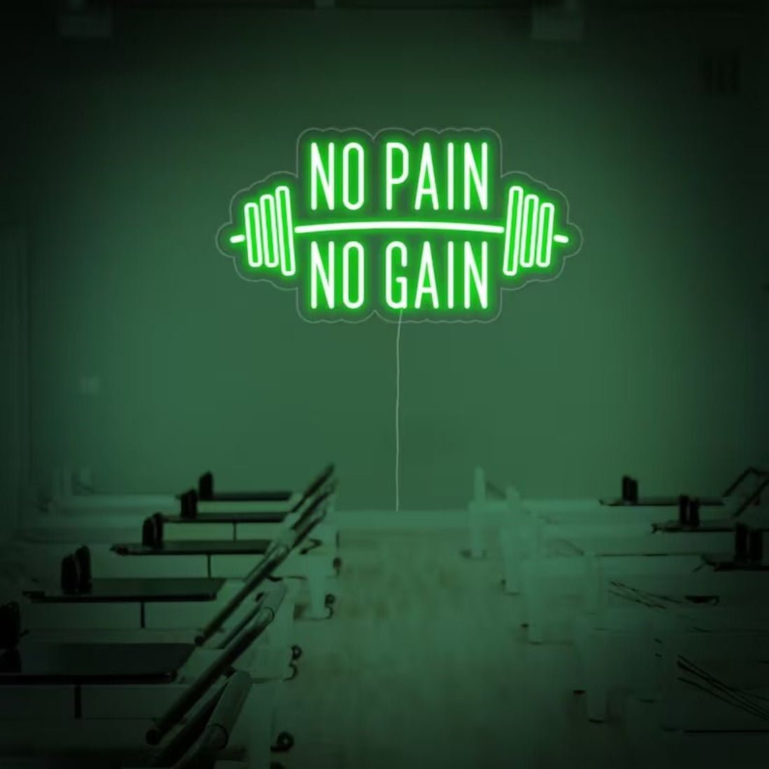 No Pain No Gain Led Sign Business Neon Sign - Shineneon