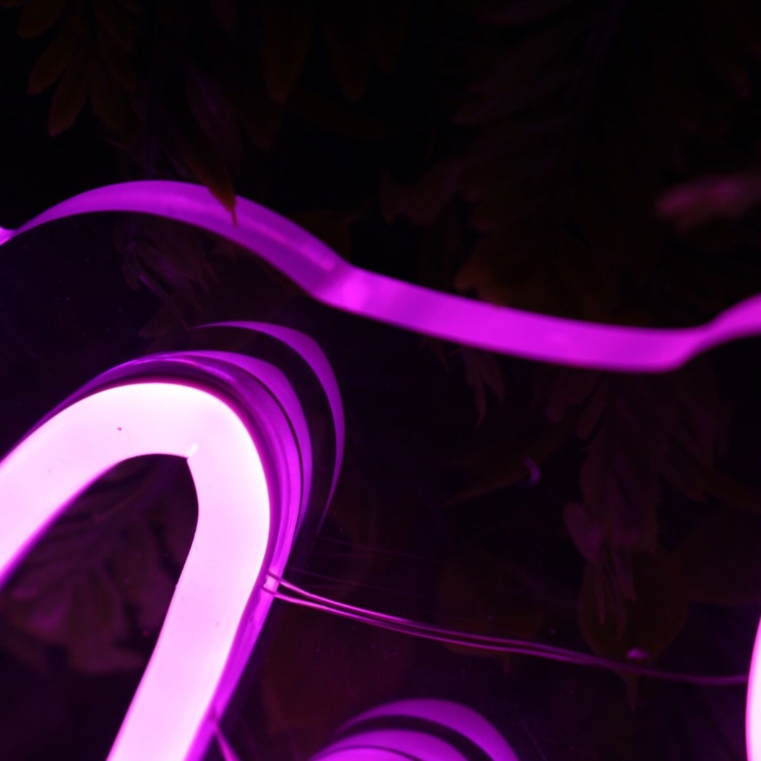 No Selfies In The Bathroom Purple Led Neon Sign - Shineneon