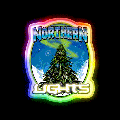 Northern Lights Strain Art Hemp Inspired Green Leaf Led Neon Sign Rgb Color - LED neon sign close-up detail
