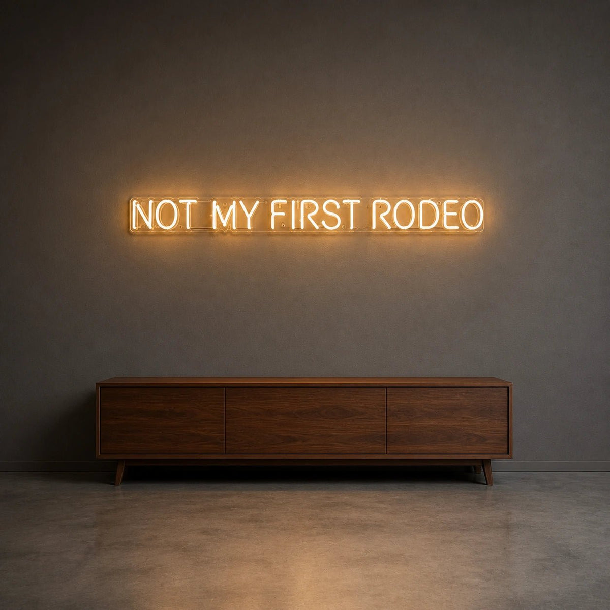 Not My First Rodeo LED Neon Sign - Shineneon