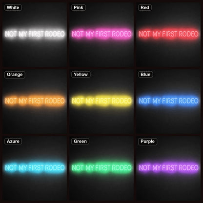 Not My First Rodeo LED Neon Sign Garage Man Cave Neon Sign color grid