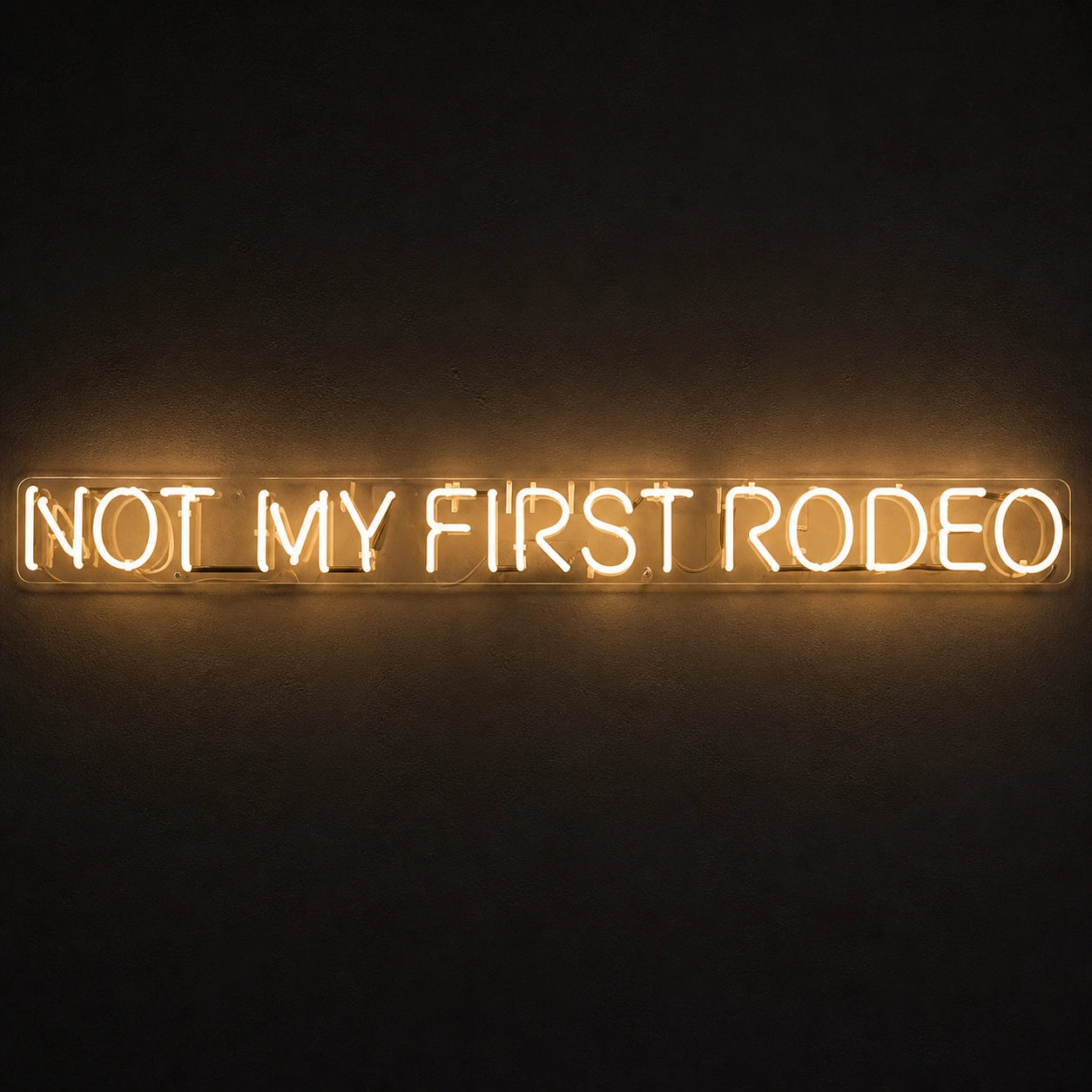 Not My First Rodeo LED Neon Sign Garage Man Cave Neon Sign main product image