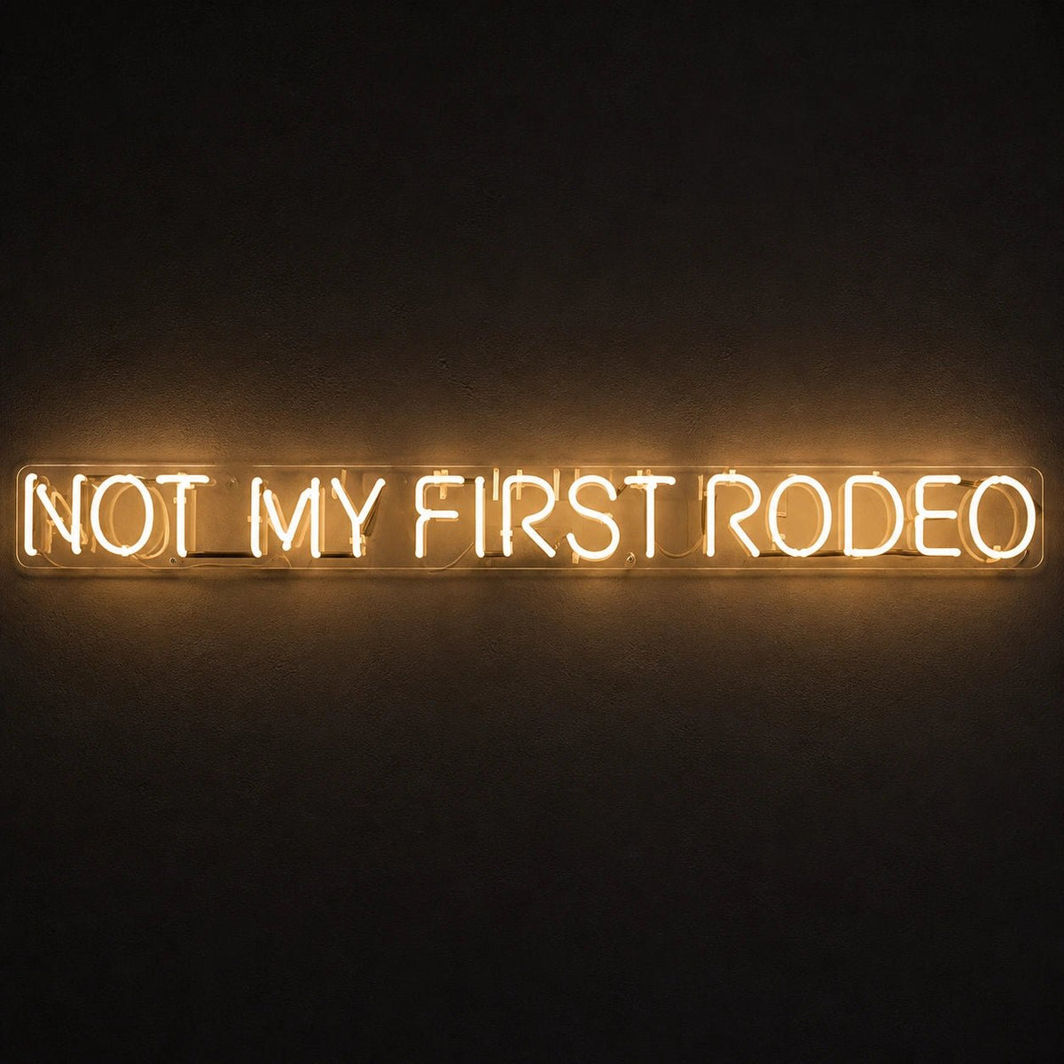 Not My First Rodeo LED Neon Sign Garage Man Cave Neon Sign - Shineneon
