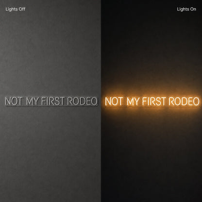 Not My First Rodeo LED Neon Sign Man Cave Neon Sign day and night comparison